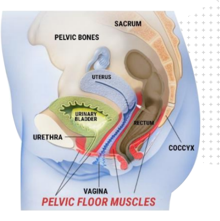 Common causes and symptoms of incontinence